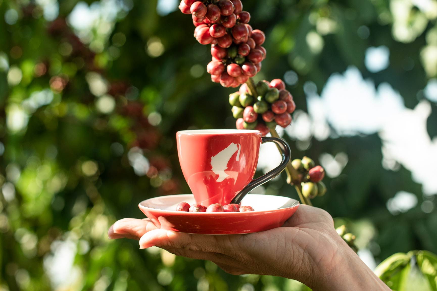 4-100-percent-Responsibly-Selected-Coffee-by-2025