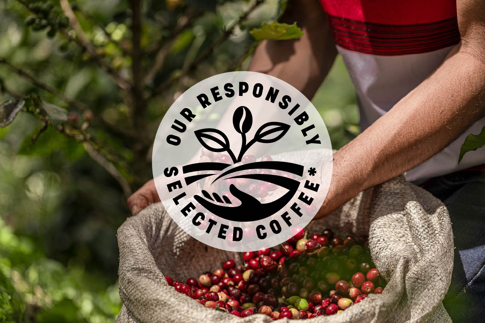 2-Source-Responsibly-Sip-Sustainably